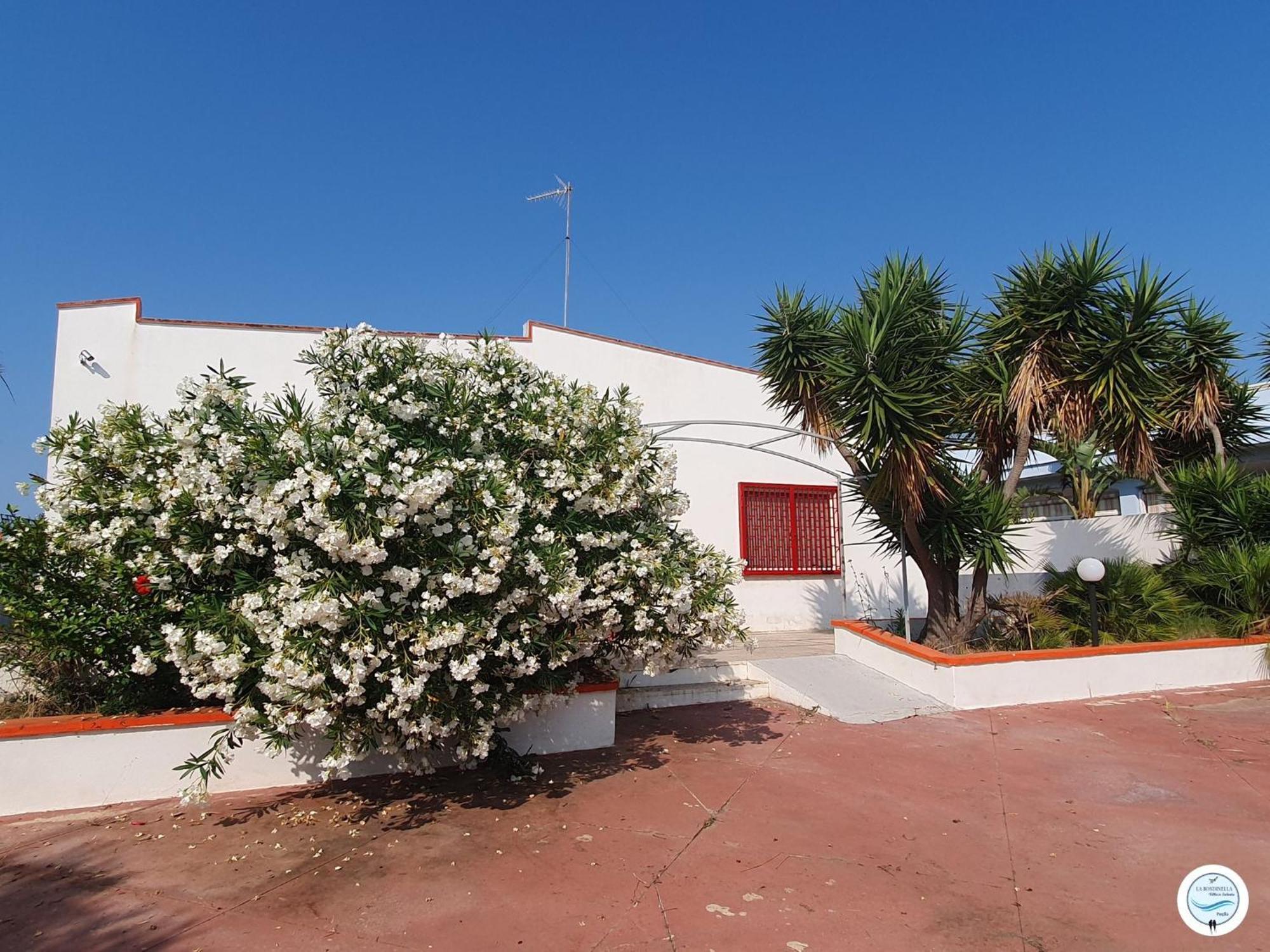 Villa La Rondinella - Torre San Giovanni Torre San Giovanni Ugento Exterior foto